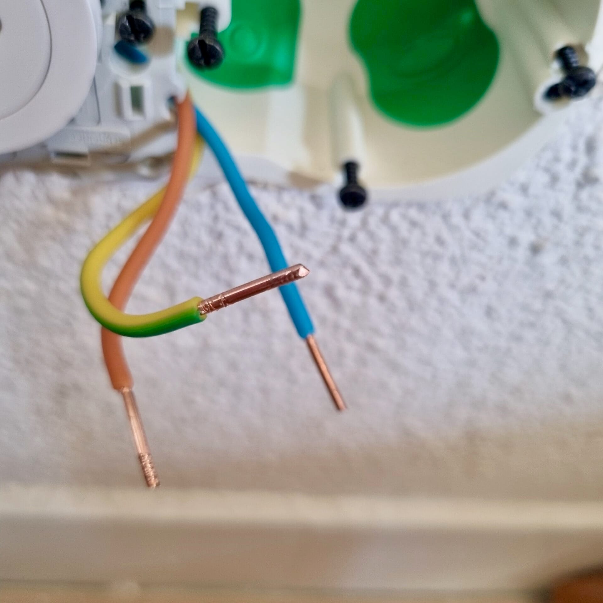 Fils terre, phase et neutre d’une prise tenus dans la main